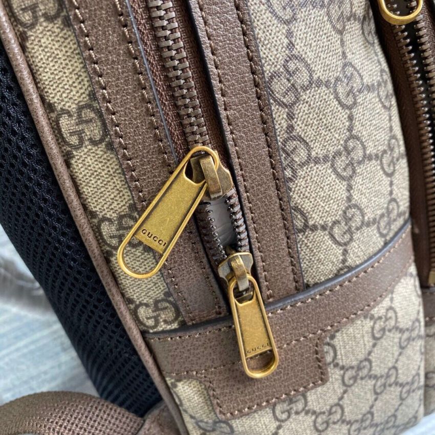 Gvc*1 Ophidia Medium Backpack