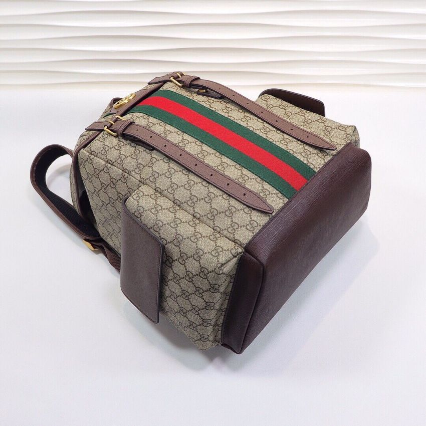 Gvc*1 Ophidia Medium Backpack