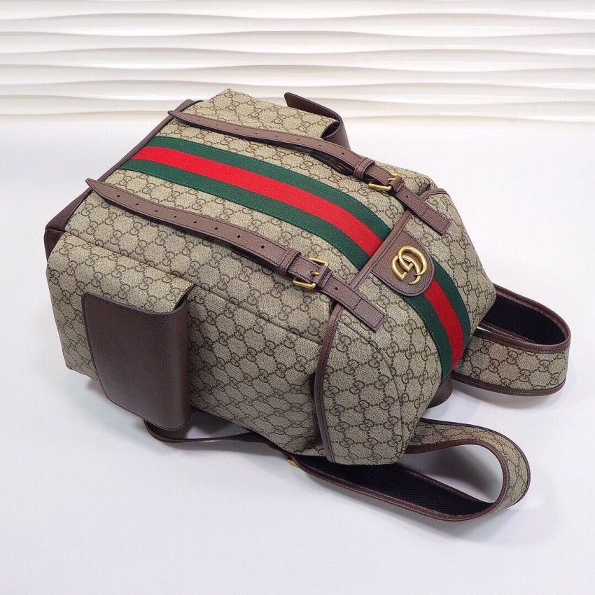 Gvc*1 Ophidia Medium Backpack
