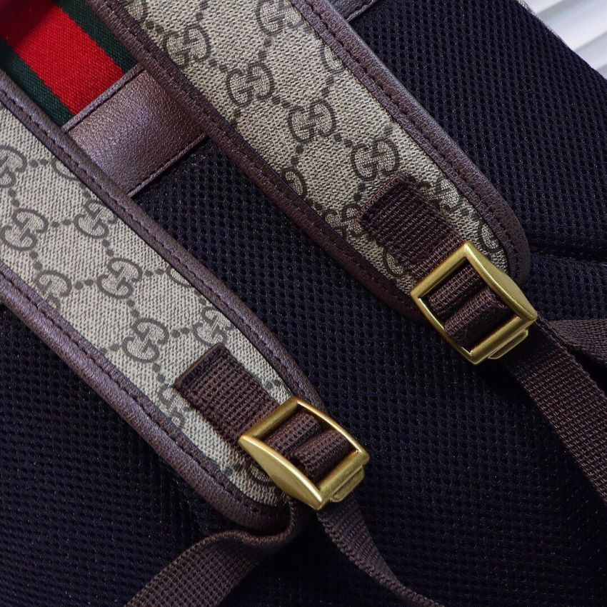Gvc*1 Ophidia Medium Backpack