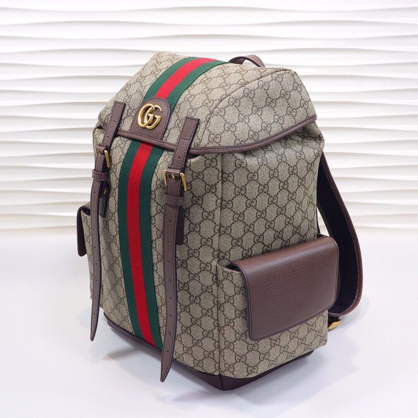 Gvc*1 Ophidia Medium Backpack