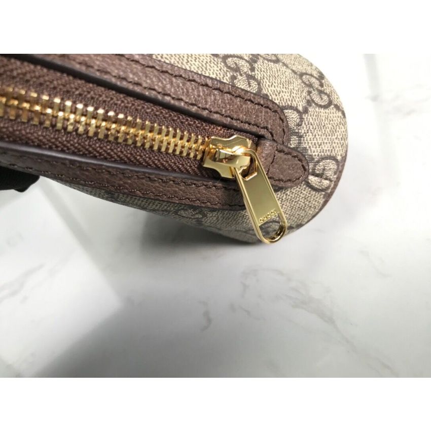 Gvc*1 Ophidia GG Pouch
