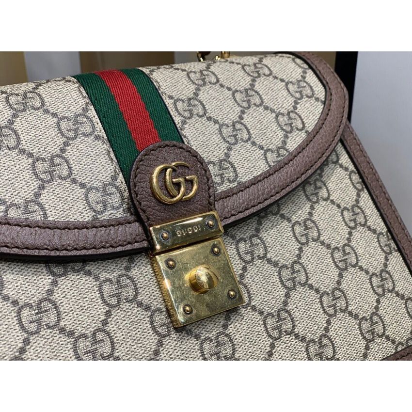 Gvc*1 Ophidia Top Handle Bag