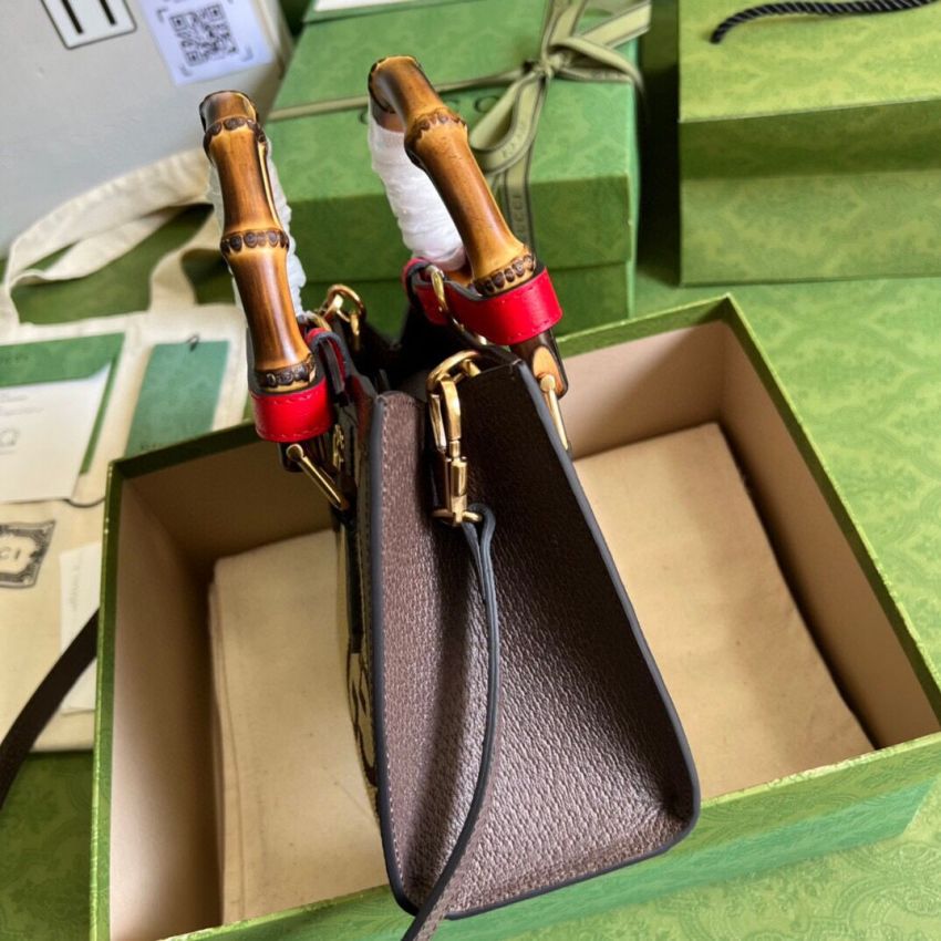 Gvc*1 Diana Baomboo Mini Tote