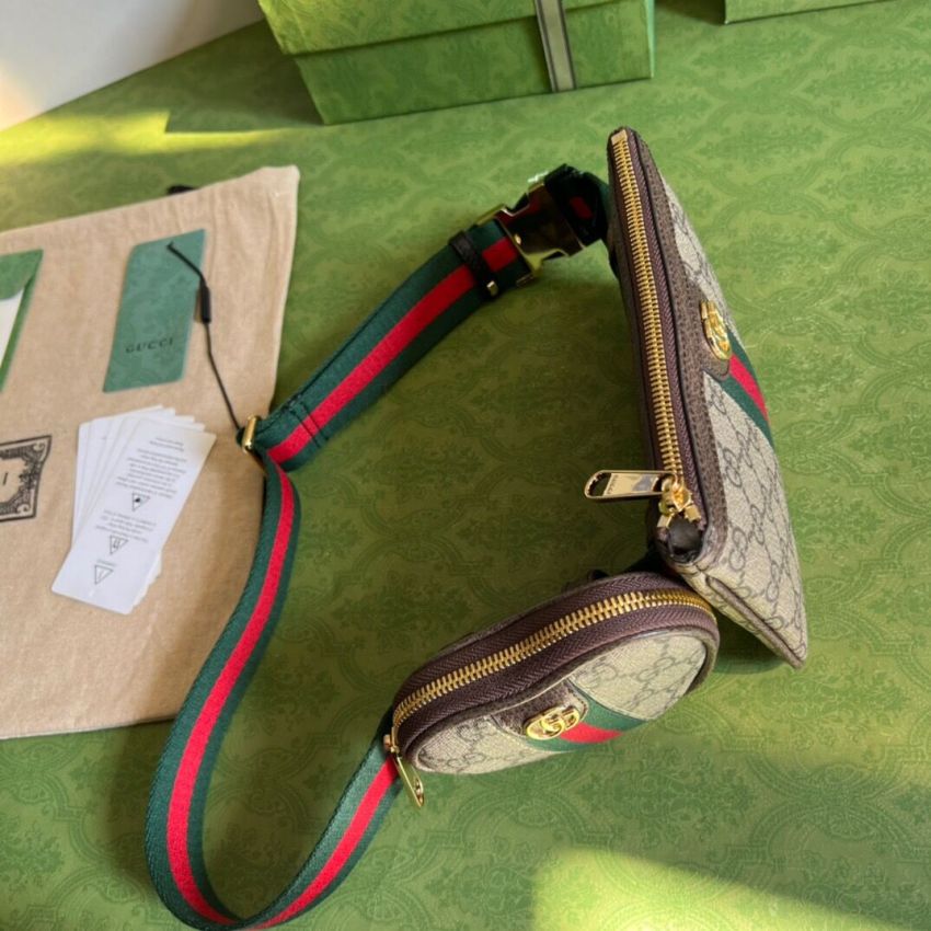 Gvc*1 Ophidia Belt Bag