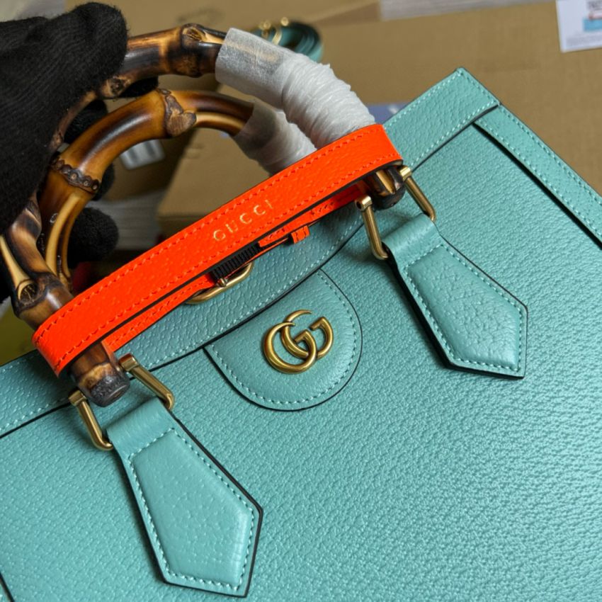 Gvc*1 Diana Baomboo Small Tote