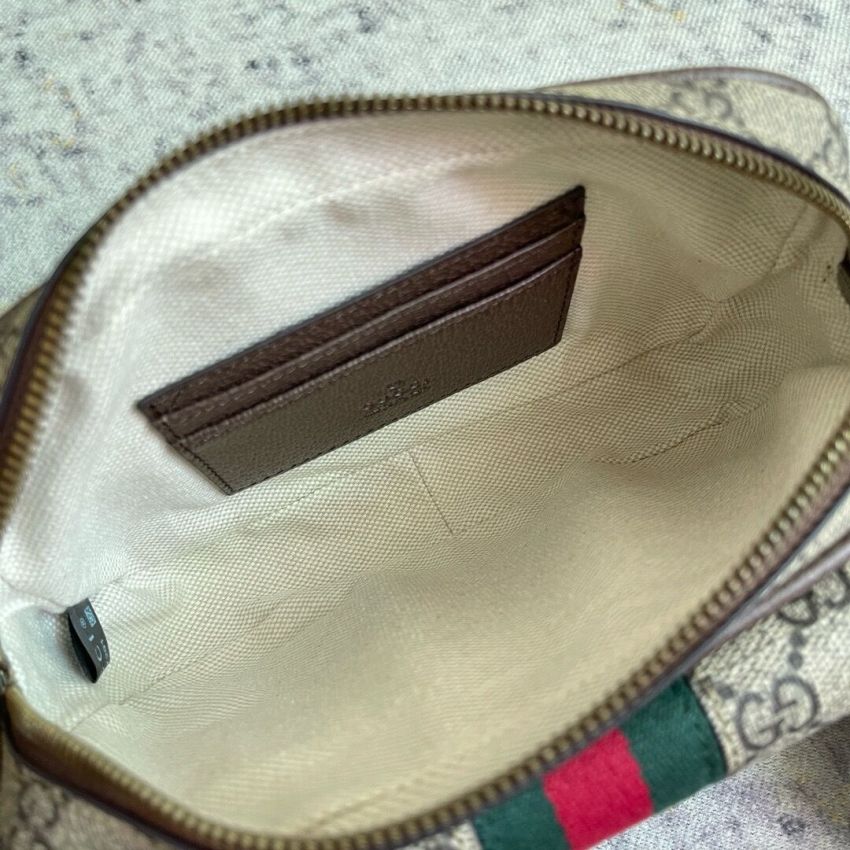 Gvc*1 Ophidia GG Mini Bag