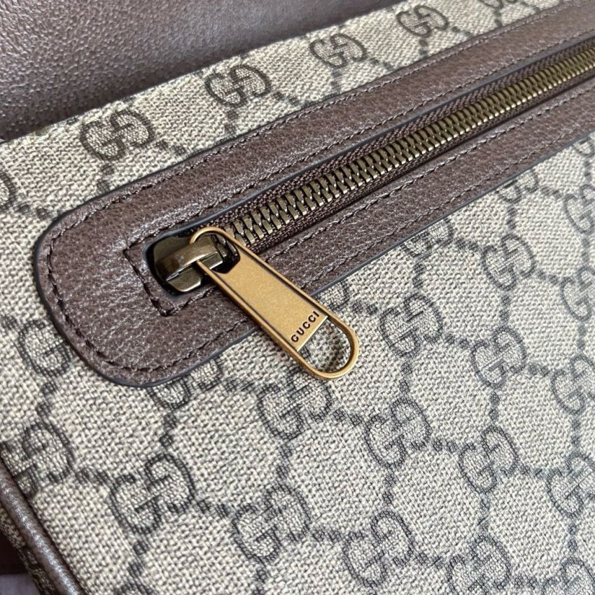 Gvc*1 Ophidia GG Medium messenger