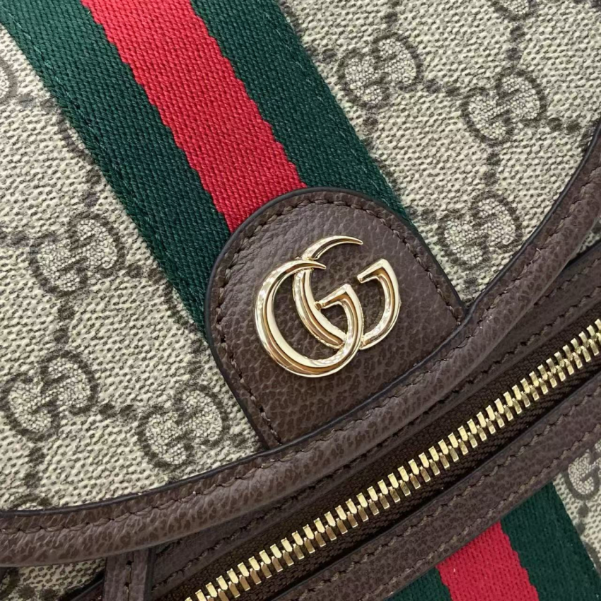 Gvc*1 Ophidia Small Backpack