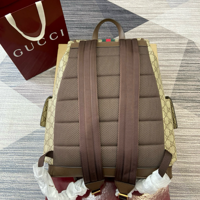 Gvc*1 Ophidia Large Backpack