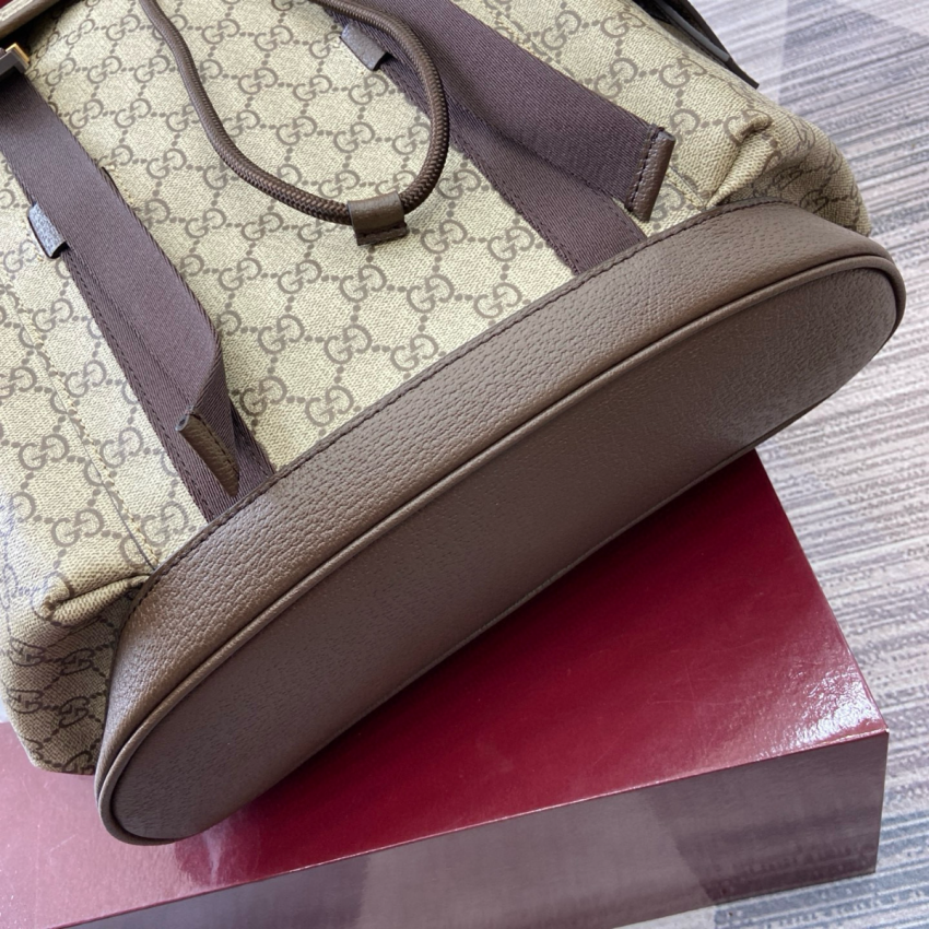 Gvc*1 Ophidia Large Backpack