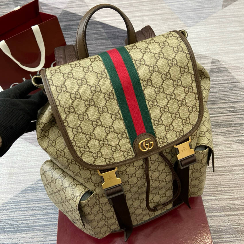 Gvc*1 Ophidia Large Backpack