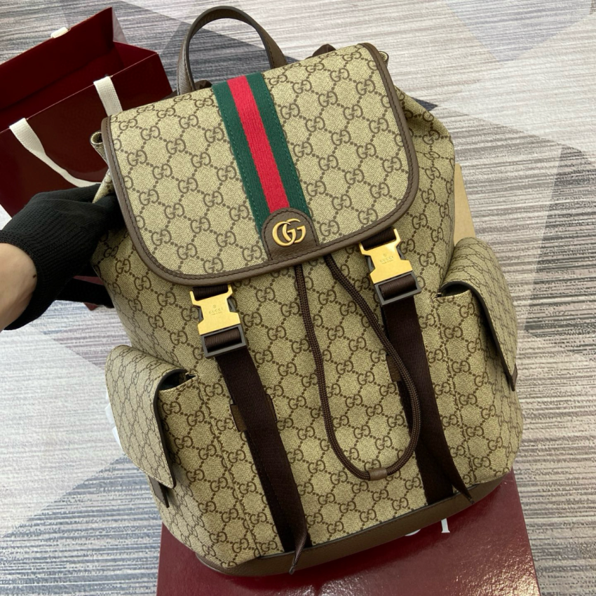 Gvc*1 Ophidia Large Backpack