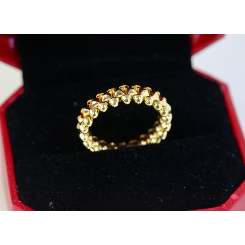 Ca*t1er Ring