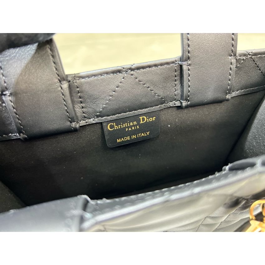 Mini D10r Book Tote