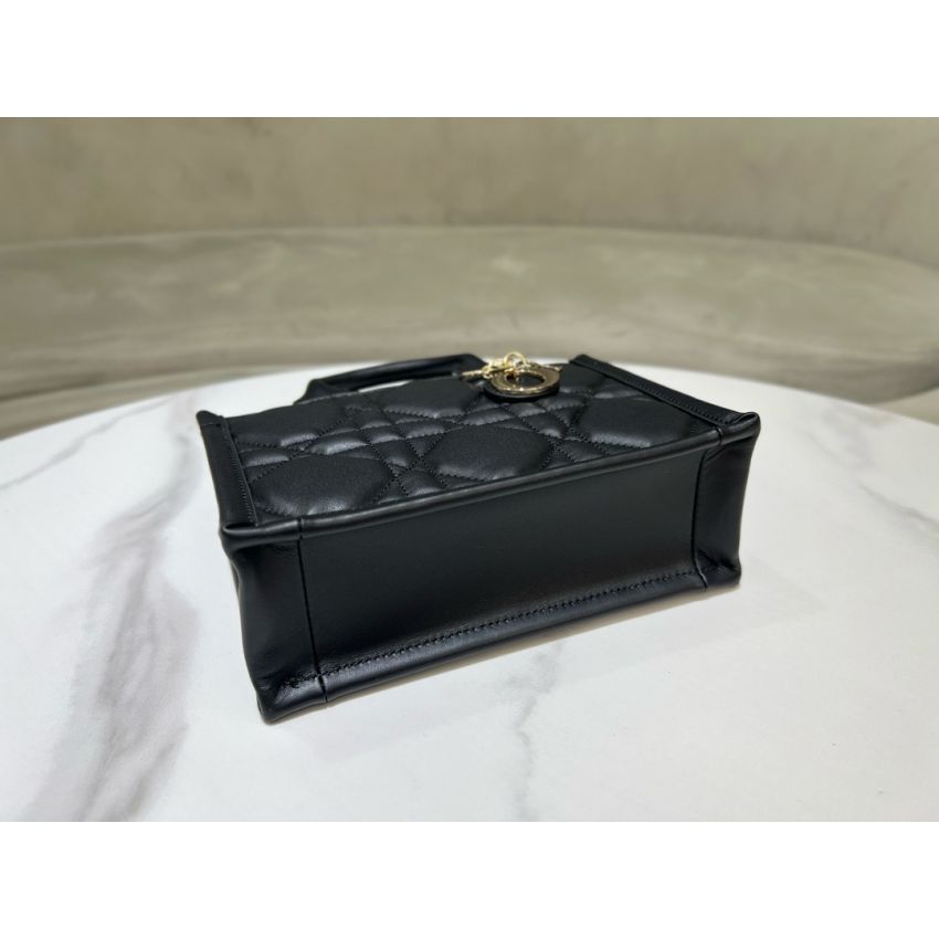Mini D10r Book Tote