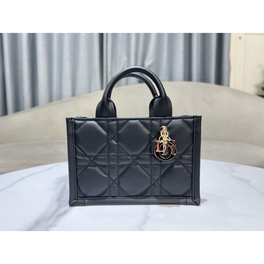 Mini D10r Book Tote