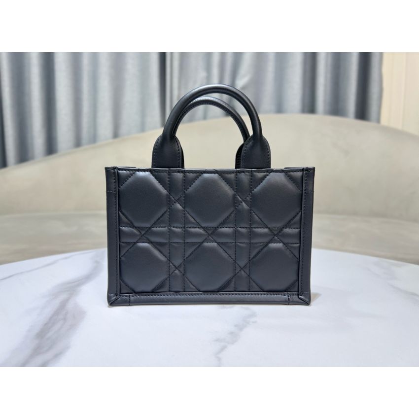 Mini D10r Book Tote