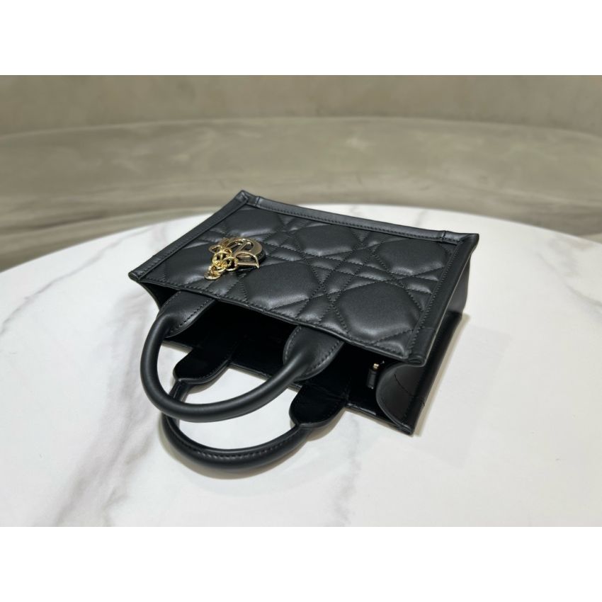 Mini D10r Book Tote