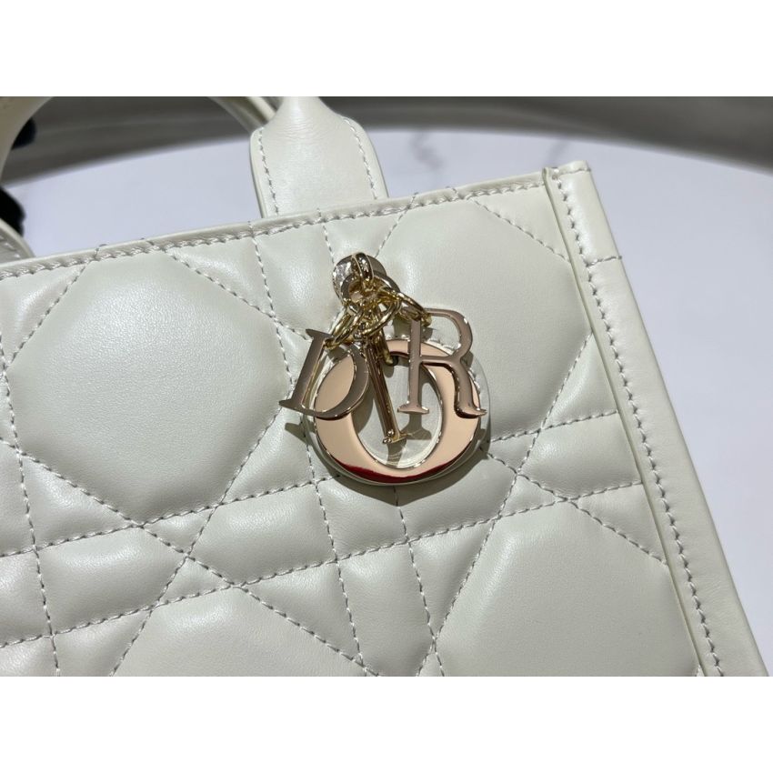 Mini D10r Book Tote