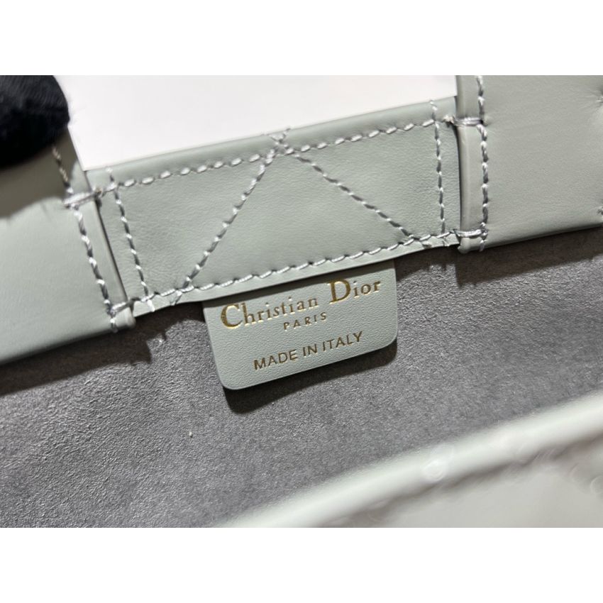 Mini D10r Book Tote