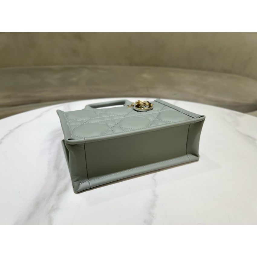 Mini D10r Book Tote