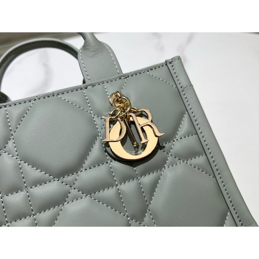 Mini D10r Book Tote