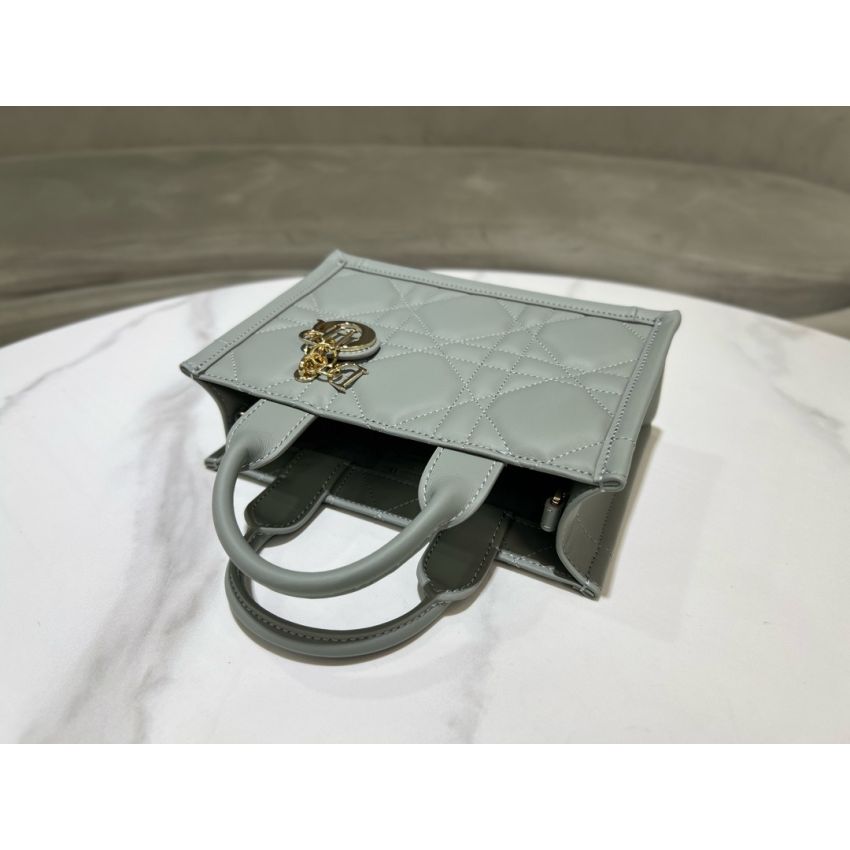 Mini D10r Book Tote