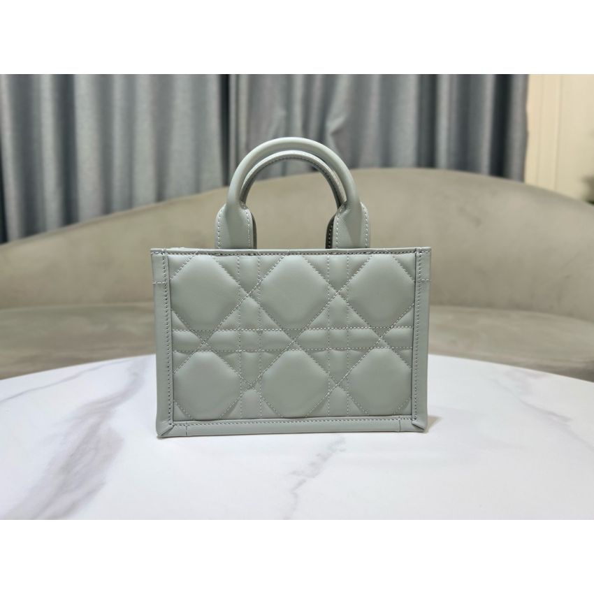Mini D10r Book Tote