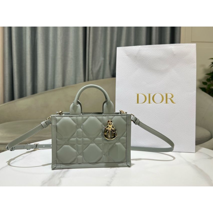 Mini D10r Book Tote
