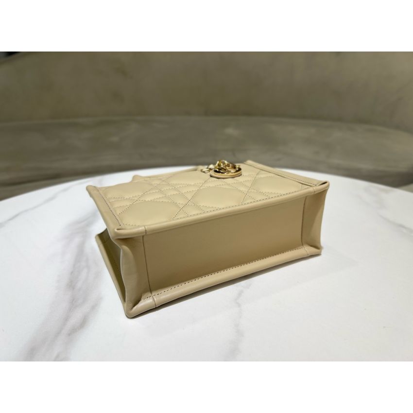Mini D10r Book Tote