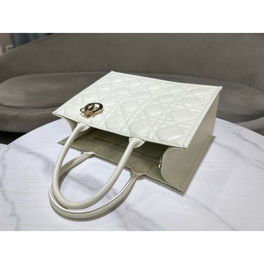 Medium D10r Book Tote