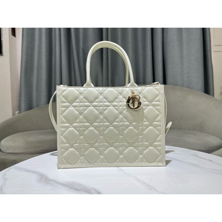 Medium D10r Book Tote