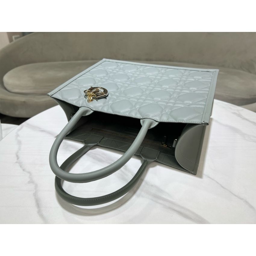 Medium D10r Book Tote