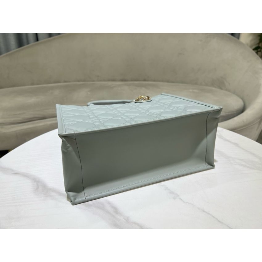 Medium D10r Book Tote
