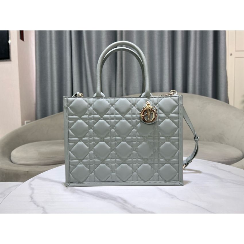 Medium D10r Book Tote