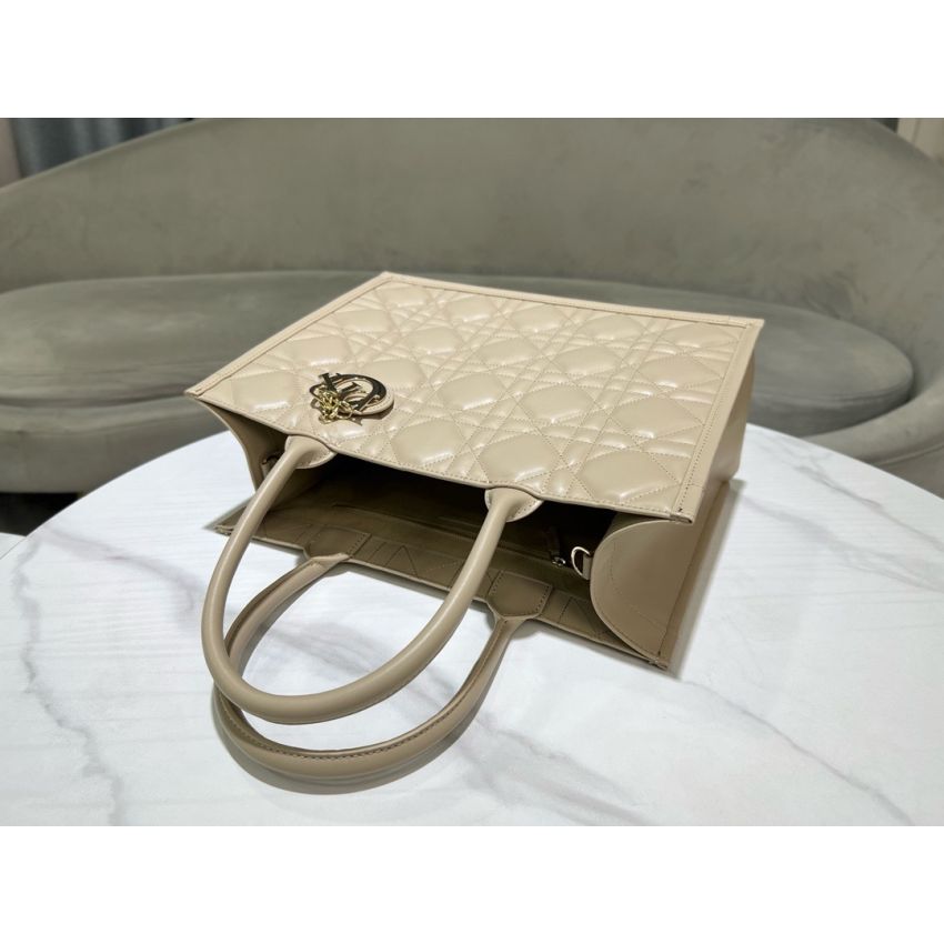 Medium D10r Book Tote