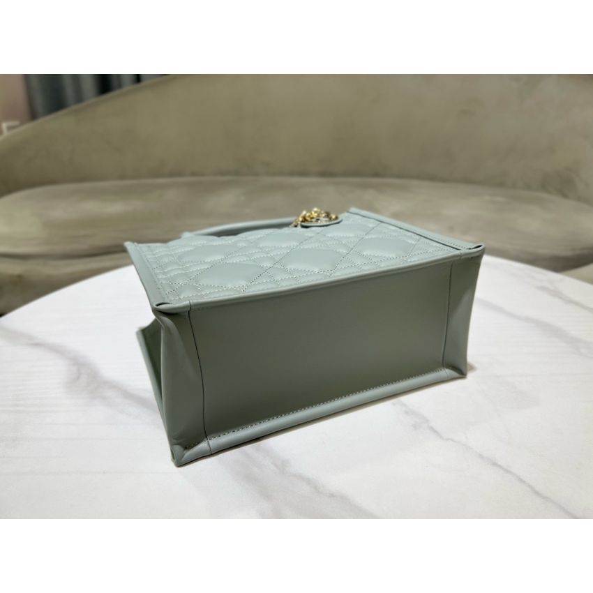 Small D10r Book Tote