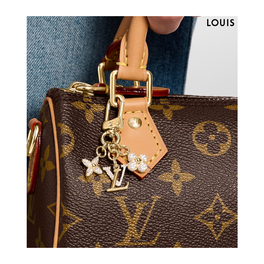 LV Bag Charm