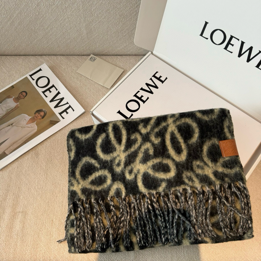 L0ew* Mohair and Wool Blend Scarf