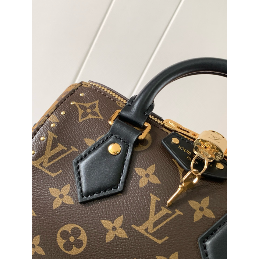 M13146 Cruise 2025 Speedy Trunk 20