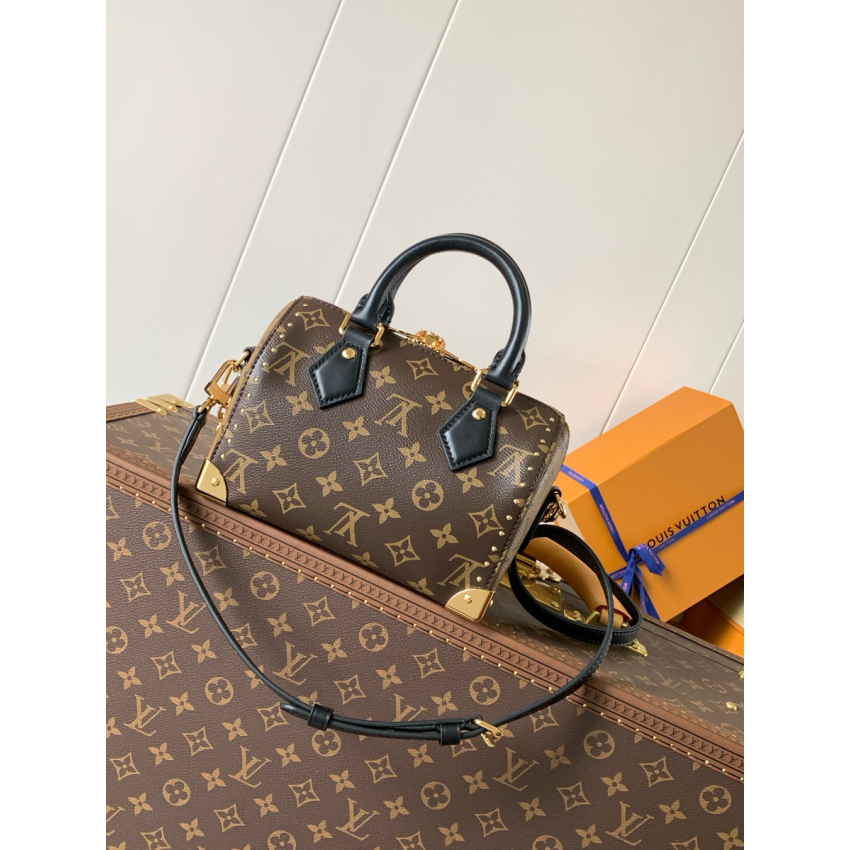 M13146 Cruise 2025 Speedy Trunk 20