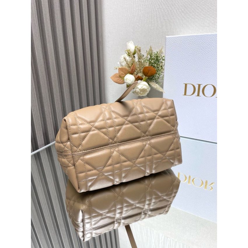 Small D10r Toujours Bag