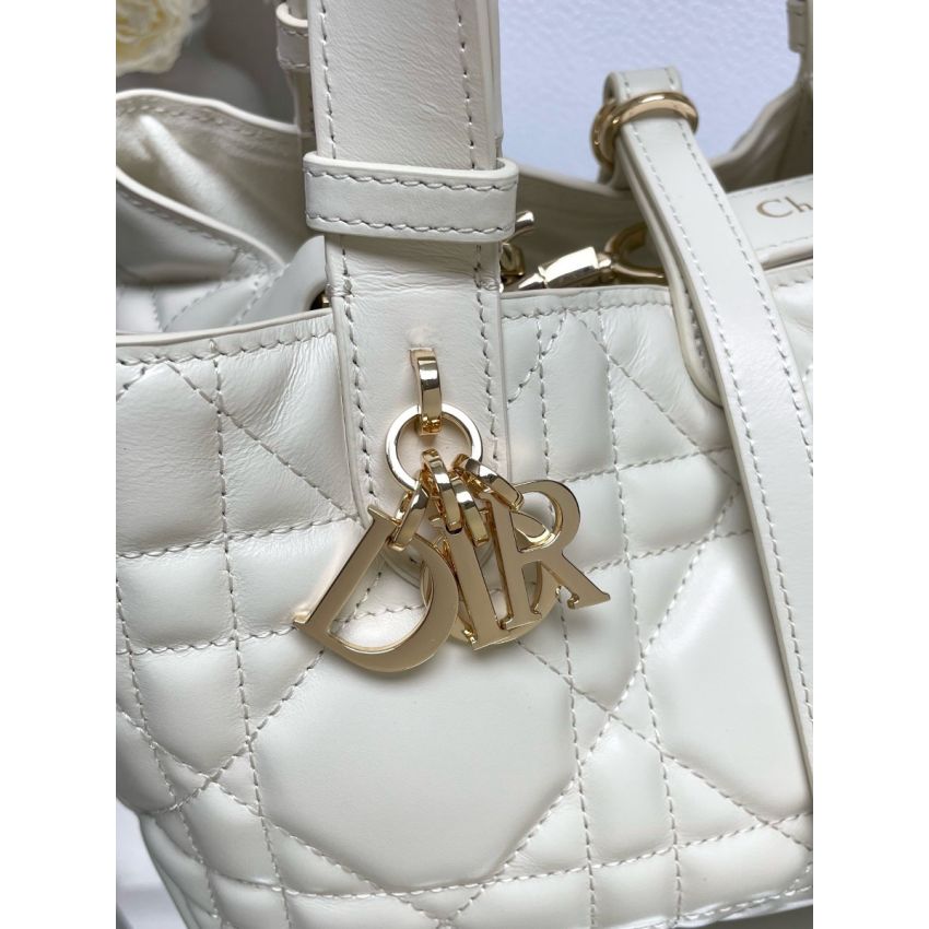 Small D10r Toujours Bag