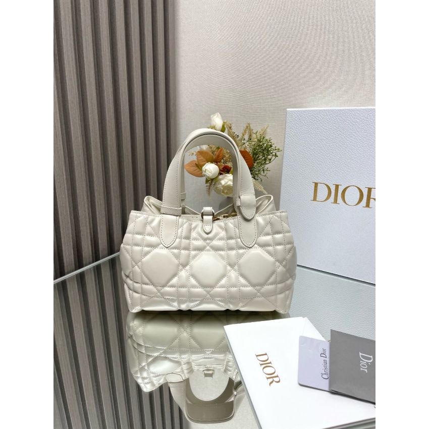 Small D10r Toujours Bag
