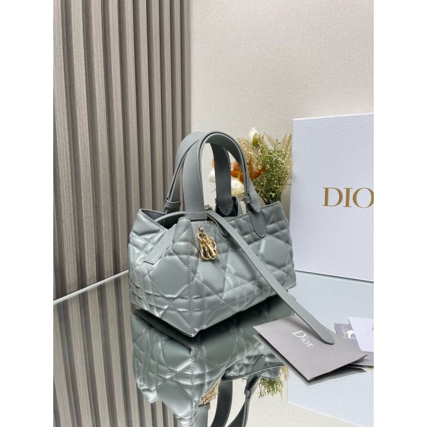 Small D10r Toujours Bag