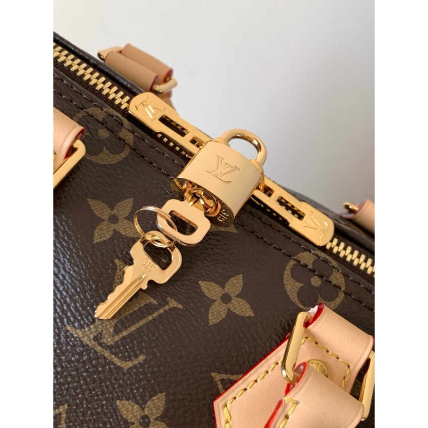 M46977 Speedy Bandoulière 25