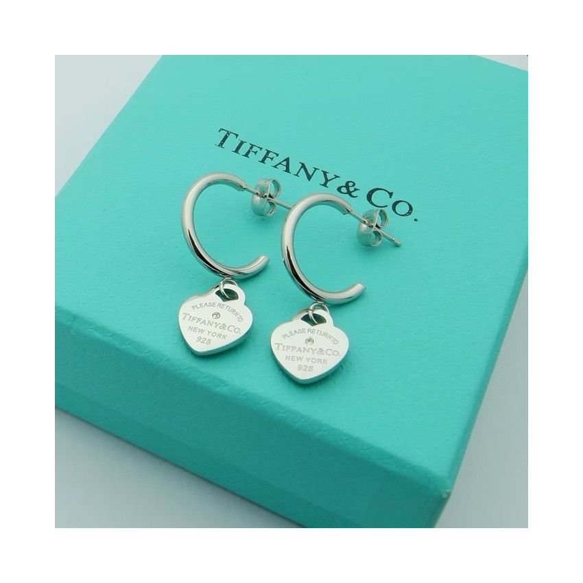 T*f*ny & Co earrings
