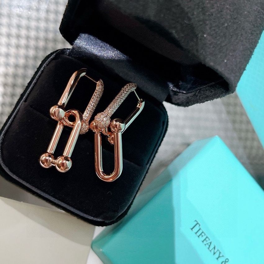 T*f*ny & Co earrings