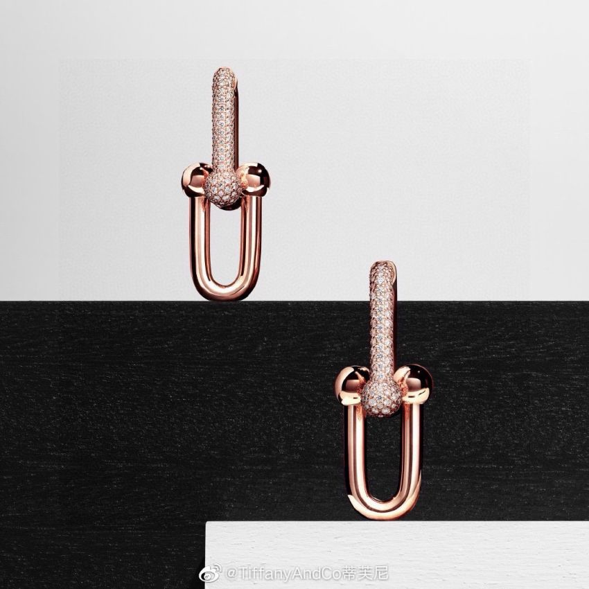 T*f*ny & Co earrings